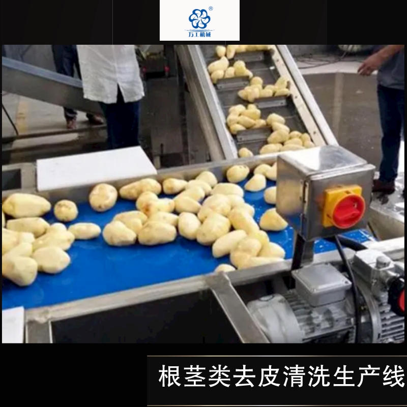 根茎类去皮清洗生产线