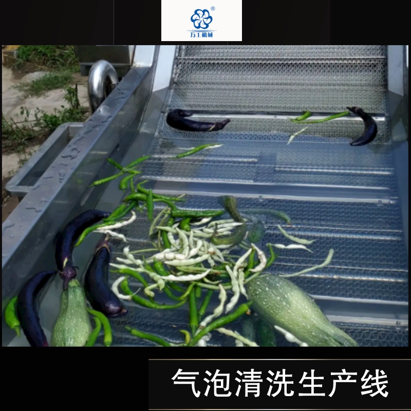气泡清洗生产线