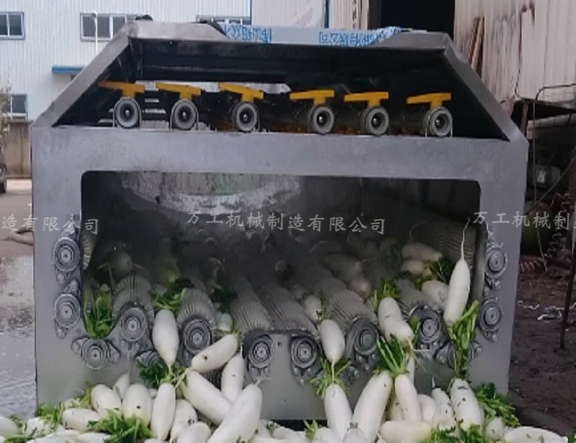 萝卜清洗机